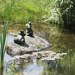 Stanglehen Mittersill