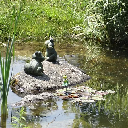 Stanglehen Mittersill